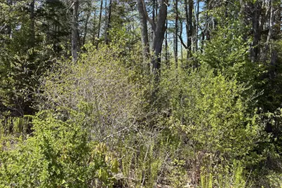 Lot 116010 Martin Point Road, Friendship, ME 04547 - Photo 5