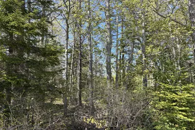 Lot 116010 Martin Point Road, Friendship, ME 04547 - Photo 7