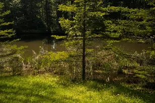 352 Harriman Point Rd, Brooklin, ME 04616 - Photo 19