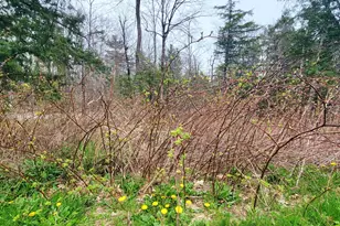 6 Skyscraper Hill Rd, Brooks, ME 04921 - Photo 35