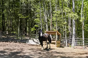 44 Johnson Rd, Windham, ME 04062 - Photo 3