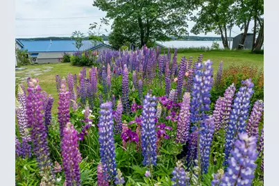 151 Water Street, Eastport, ME 04631 - Photo 35