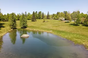 39 Applebee Hill Rd, Guilford, ME 04443 - Photo 61