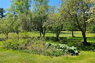39 Applebee Hill Rd, Guilford, ME 04443 - Photo 51