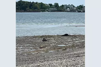 84 Stovers Point Road, Harpswell, ME 04079 - Photo 23