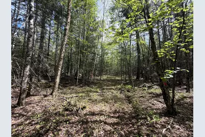 59 High Head Road, East Machias, ME 04630 - Photo 9