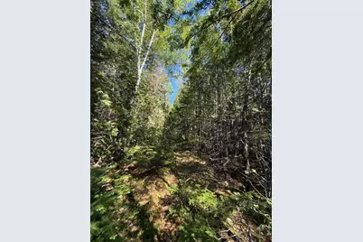 1175 Us-1, Robbinston, ME 04671 - Photo 133