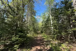 1175 US-1, Robbinston, ME 04671 - Photo 137