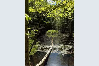 1175 Us-1, Robbinston, ME 04671 - Photo 139