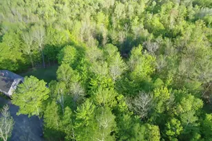 56 Georges Pl, Sangerville, ME 04479 - Photo 85