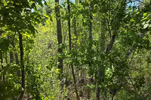 4 Goose River Estates, Swanville, ME 04915 - Photo 1