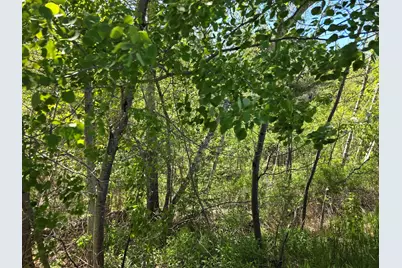 4 Goose River Estates, Swanville, ME 04915 - Photo 7