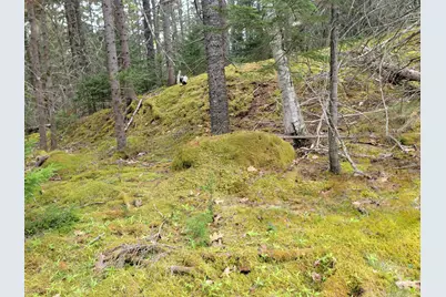 Lot # 72 Oceanville Road, Stonington, ME 04681 - Photo 31