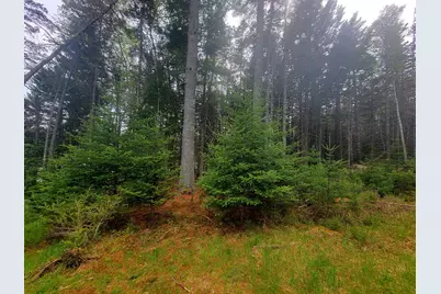 Lot # 72 Oceanville Road, Stonington, ME 04681 - Photo 29