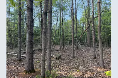 M5-L25-13 Union Street, Levant, ME 04456 - Photo 9