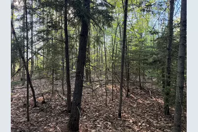 M5-L25-13 Union Street, Levant, ME 04456 - Photo 11