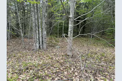 M1L15 Eastbrook Road, Eastbrook, ME 04634 - Photo 23