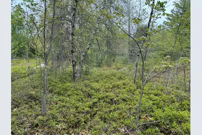 M1L15 Eastbrook Road, Eastbrook, ME 04634 - Photo 17