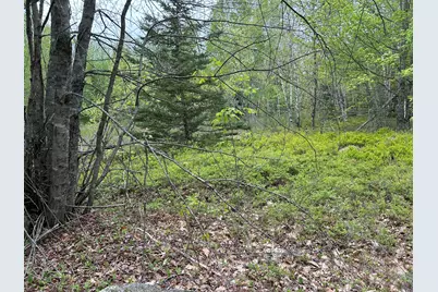 M1L15 Eastbrook Road, Eastbrook, ME 04634 - Photo 25