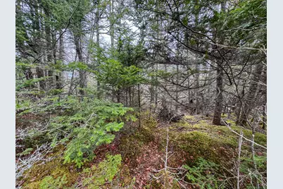 Lot 46 Yoho Head Road, Machiasport, ME 04655 - Photo 13