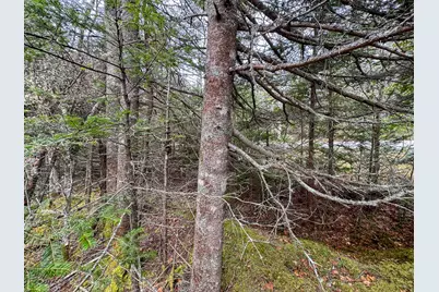 Lot 46 Yoho Head Road, Machiasport, ME 04655 - Photo 15