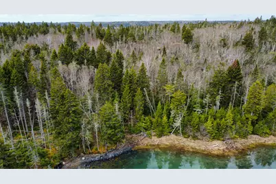 Lot 46 Yoho Head Road, Machiasport, ME 04655 - Photo 7