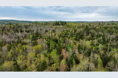 M5L59 Off Monument Road, Abbot, ME 04406 - Photo 7