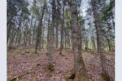 M5L59 Off Monument Road, Abbot, ME 04406 - Photo 13