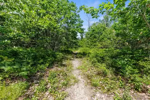 295 Buxton Rd, Saco, ME 04072 - Photo 31