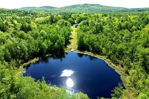 136 Belle Marsh Rd, South Berwick, ME 03908 - Photo 7
