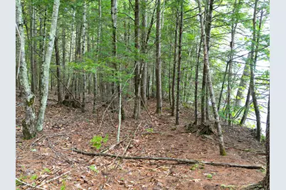 0 Osprey Point, Belgrade, ME 04917 - Photo 13