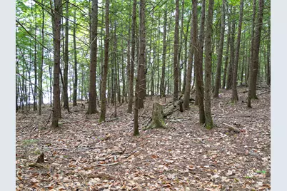 0 Osprey Point, Belgrade, ME 04917 - Photo 17