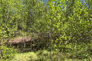 873 N Main St, Mattawamkeag, ME 04459 - Photo 25