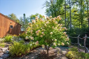 1591 Turtle Head Rd, Islesboro, ME 04848 - Photo 53
