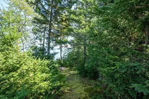 1591 Turtle Head Rd, Islesboro, ME 04848 - Photo 67