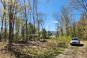 286 Staples Hill Rd, Canton, ME 04221 - Photo 73