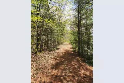 286 Staples Hill Road, Canton, ME 04221 - Photo 45