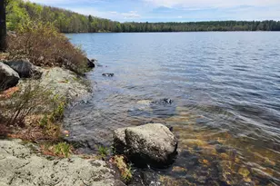 286 Staples Hill Rd, Canton, ME 04221 - Photo 41
