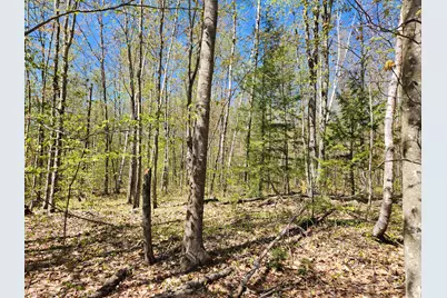 286 Staples Hill Road, Canton, ME 04221 - Photo 55