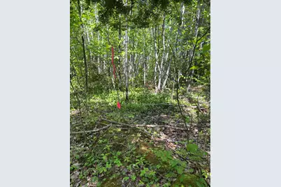 13 Mountain View Lane, Stockton Springs, ME 04981 - Photo 3
