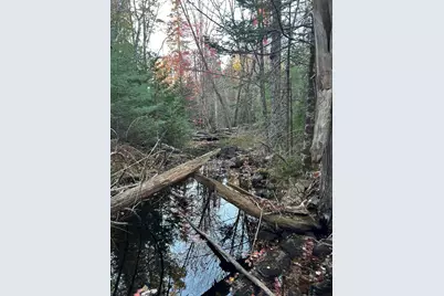 M15 L23 Varnumville Road, Brooksville, ME 04617 - Photo 5