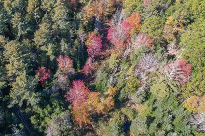 M15 L23 Varnumville Road, Brooksville, ME 04617 - Photo 15