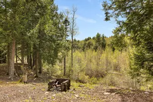 127 N Shore Rd, Gray, ME 04039 - Photo 39