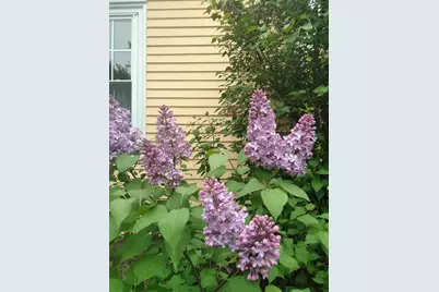 389 Higgins Road, Pittsfield, ME 04967 - Photo 65