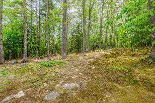 52 Alice Rd, Casco, ME 04015 - Photo 49