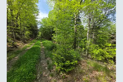 0 Morrison Road, Bucksport, ME 04416 - Photo 13