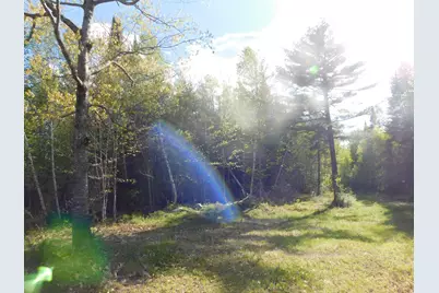 143 Fogg Brook, Lowell, ME 04493 - Photo 5