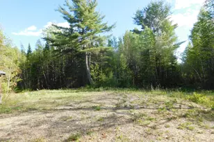 143 Fogg Brook, Lowell, ME 04493 - Photo 1