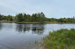 15 Old Mill Stream Rd, Sullivan, ME 04664 - Photo 43