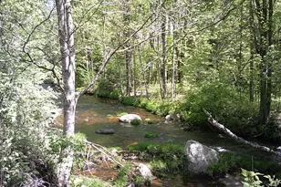 79 Buckfield Rd, Paris, ME 04281 - Photo 81